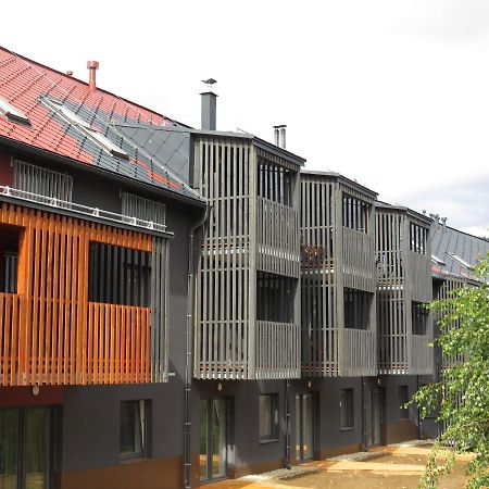 Apartman Honey Dolní Morava 外观 照片