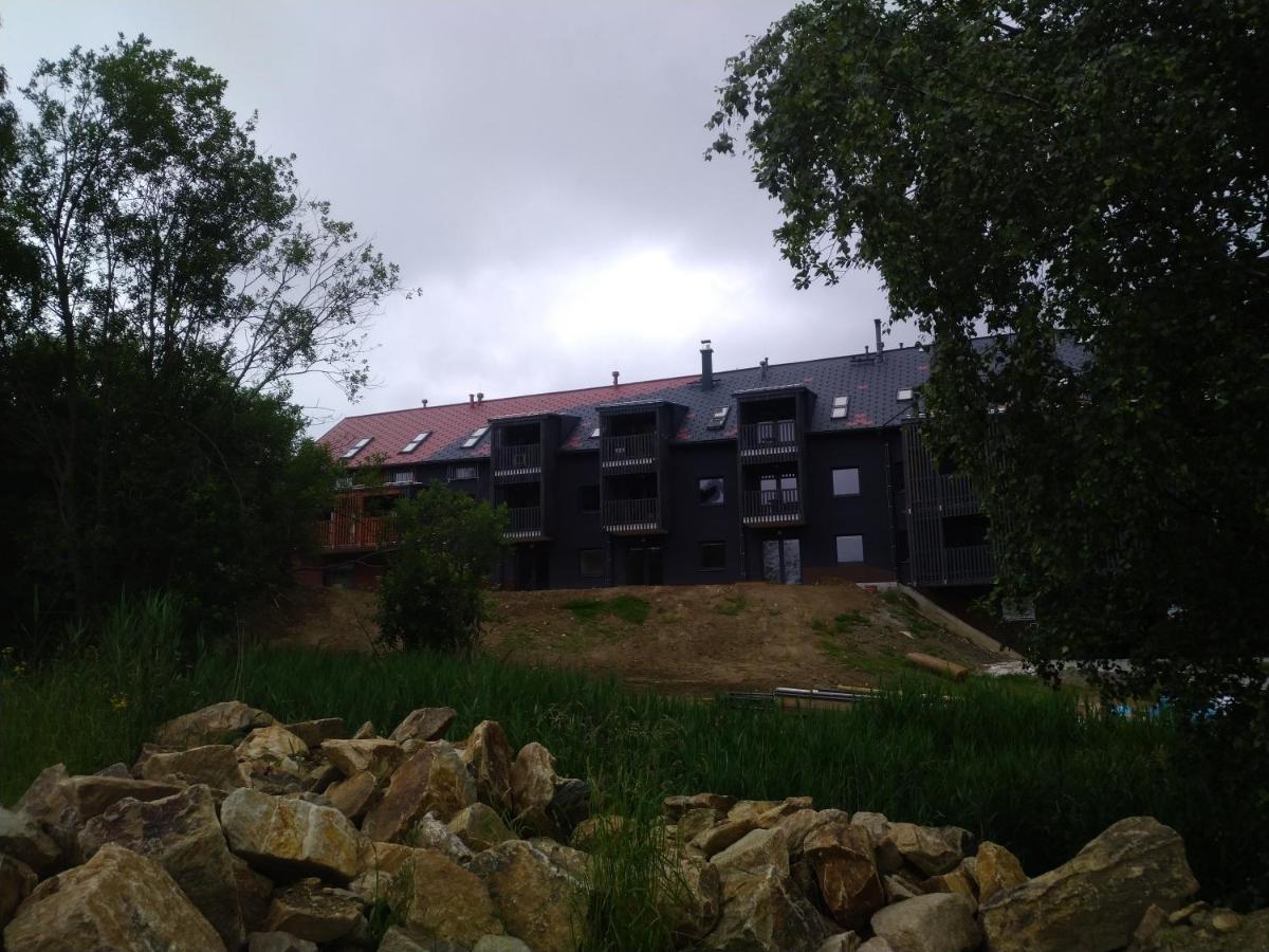 Apartman Honey Dolní Morava 外观 照片