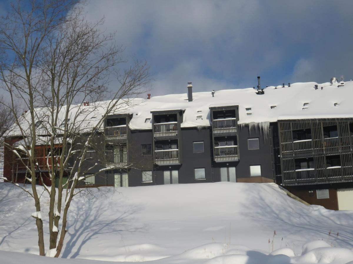 Apartman Honey Dolní Morava 外观 照片