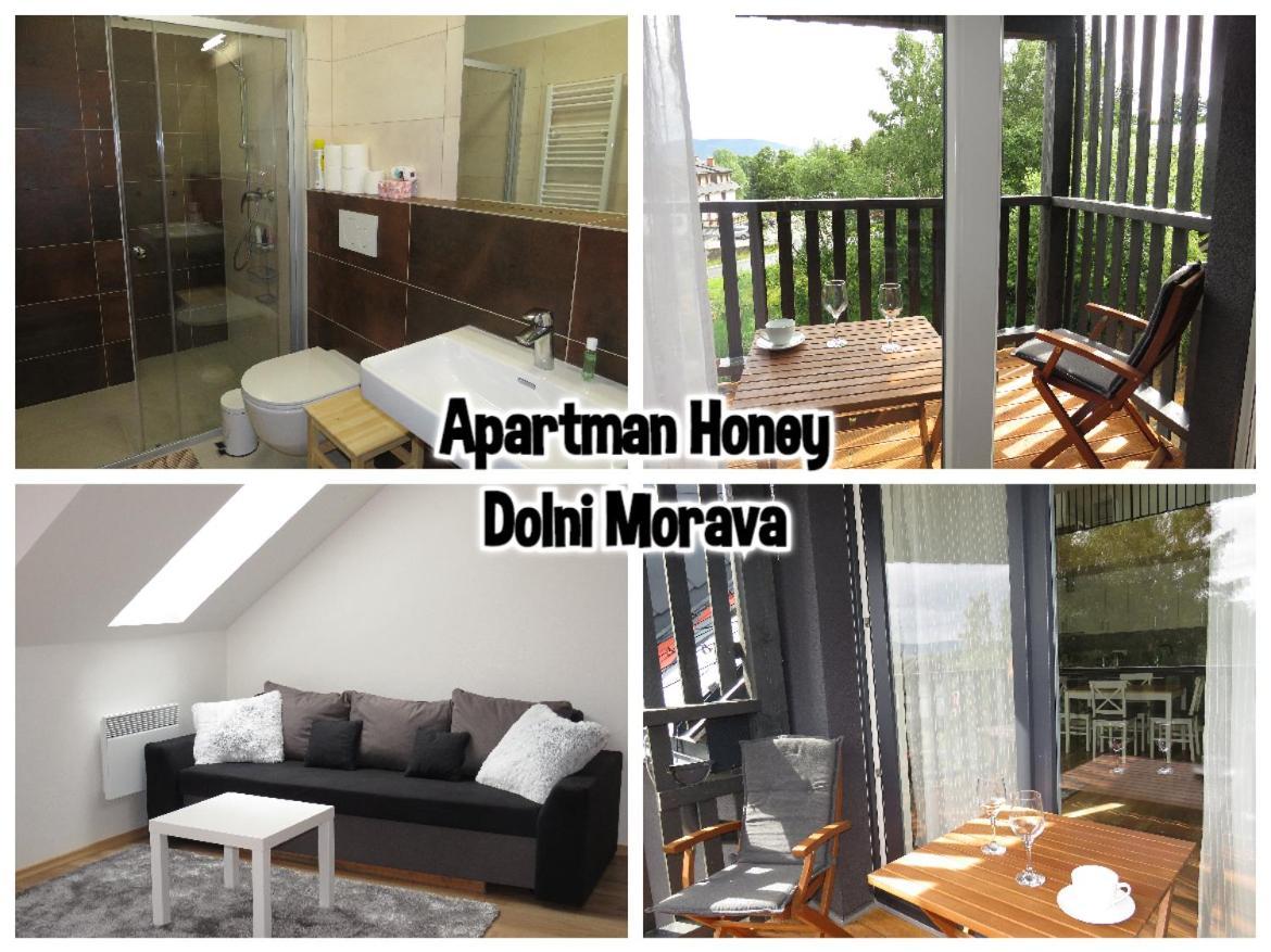 Apartman Honey Dolní Morava 外观 照片