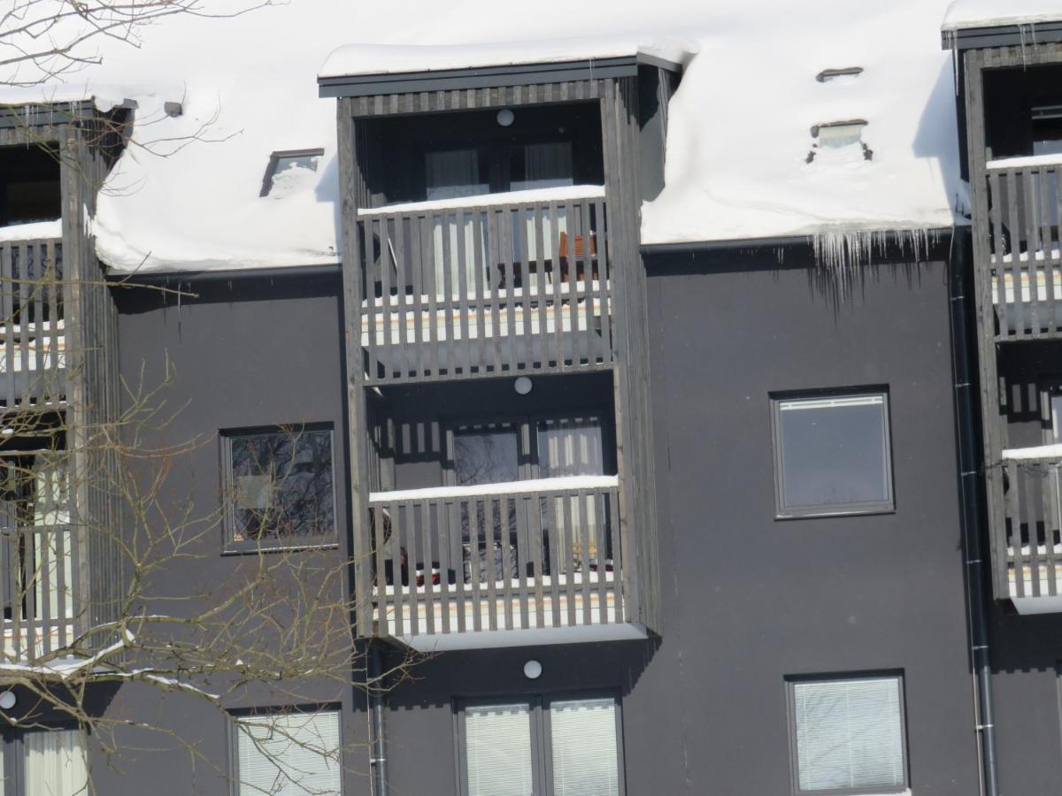 Apartman Honey Dolní Morava 外观 照片