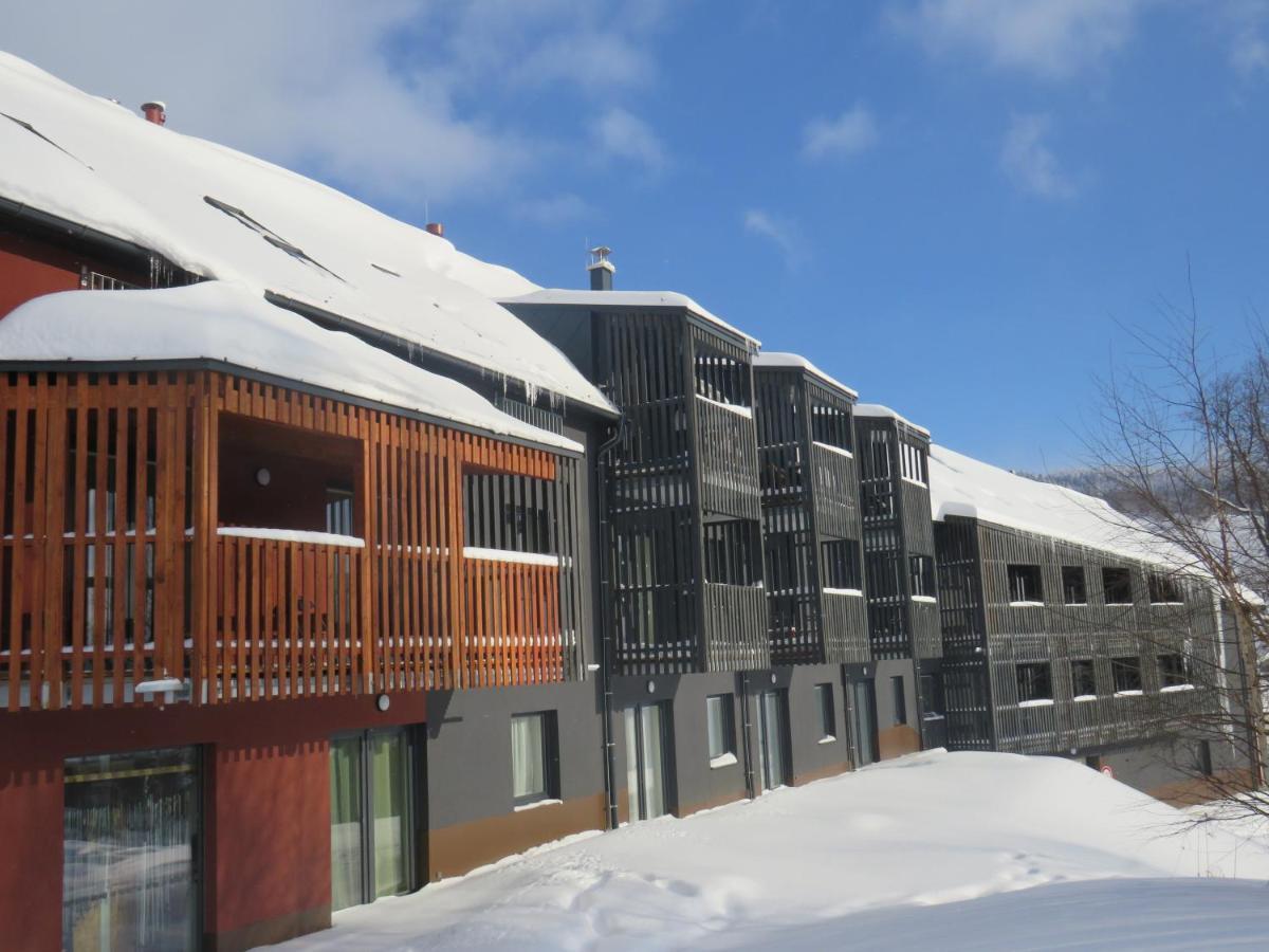 Apartman Honey Dolní Morava 外观 照片