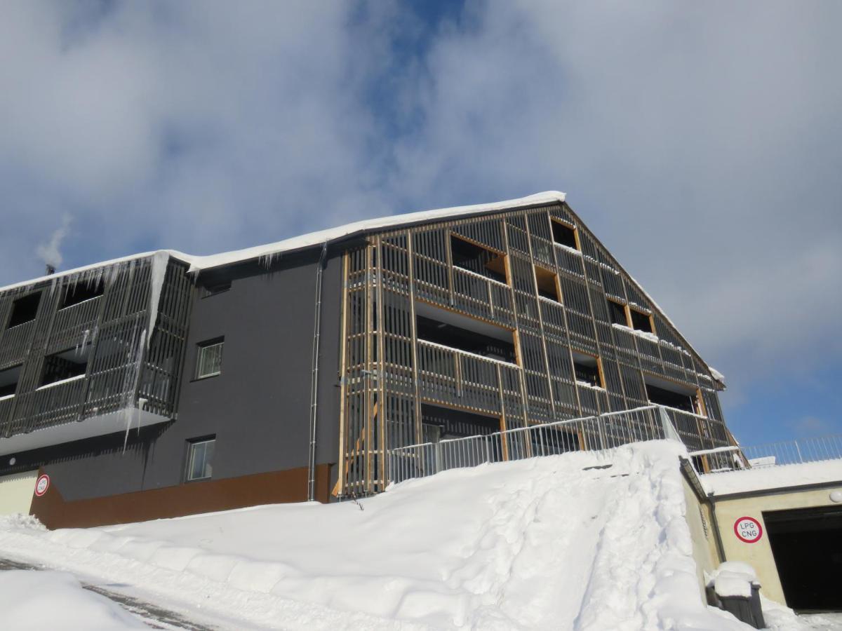 Apartman Honey Dolní Morava 外观 照片
